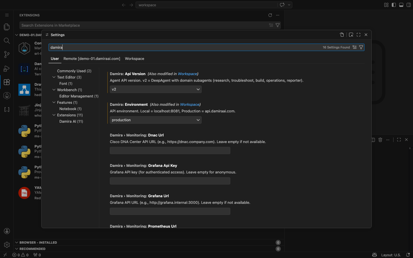 VS Code settings — Damira configuration